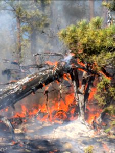 Snake Ridge Fire (May 19, 2017)