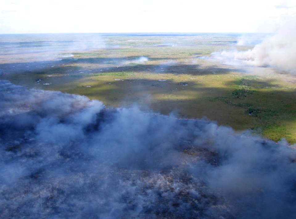 Coastal Prairie Burn53
