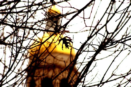 Pat Neff in the clutches of winter...