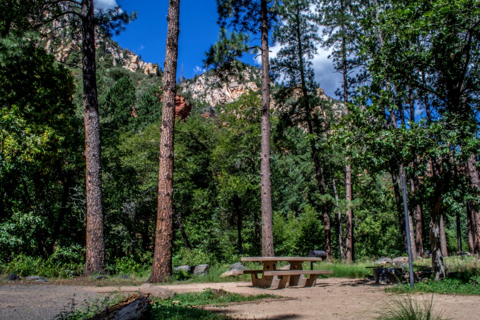 Pine Flat Campground