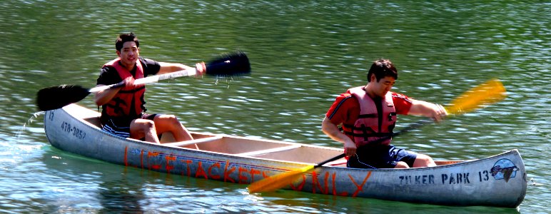 Brothers Hitting the Canoe.