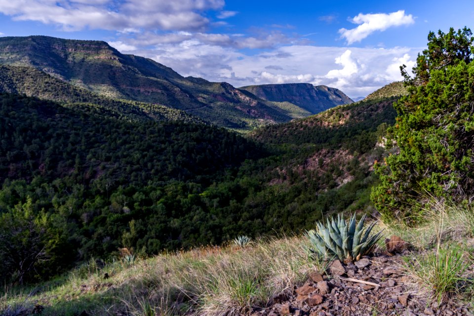 Flume Trail to the old Fossil Creek Dam