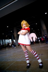 AniEx 2014 photo