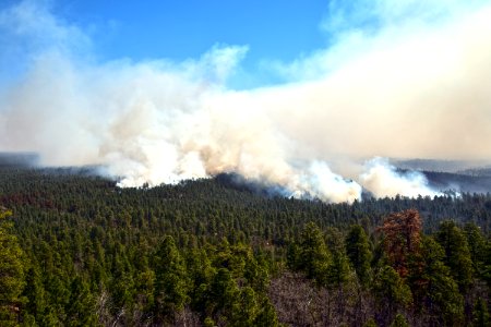 Tinder Fire