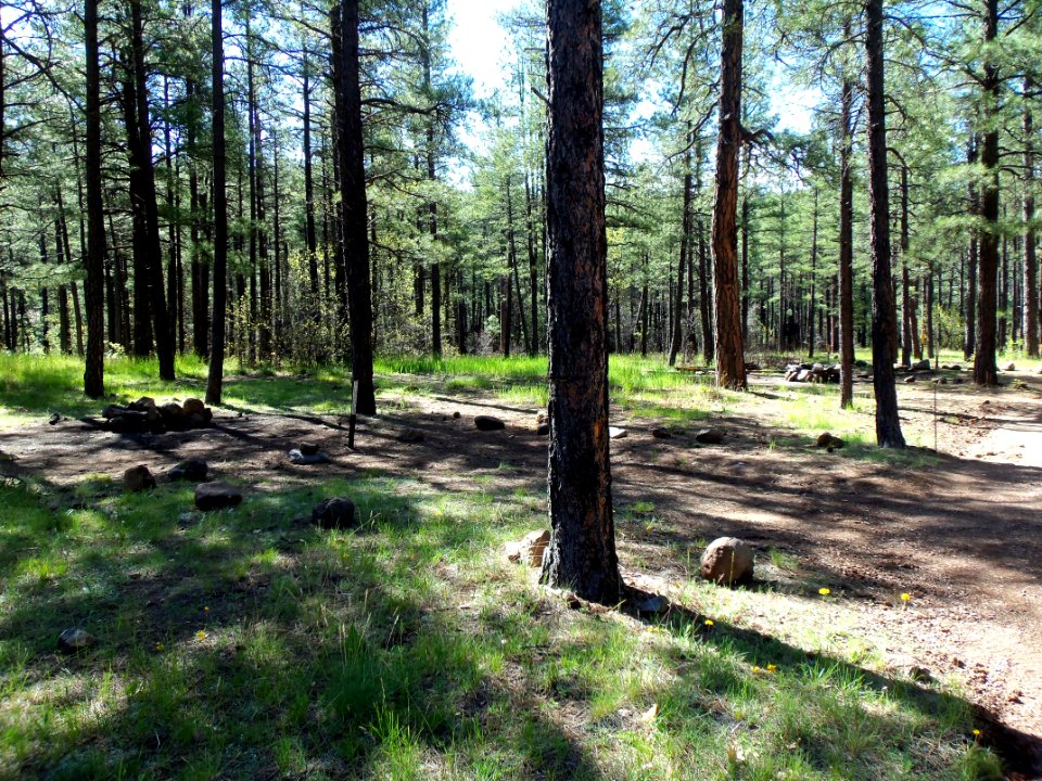 Pumphouse Wash (FR 237) Camping Loop 2