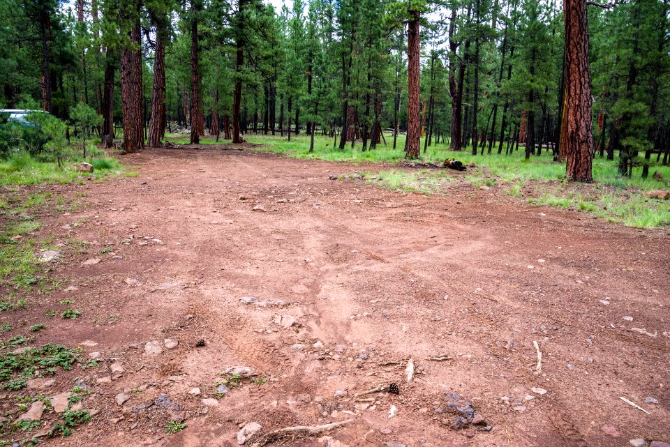 Wing Mountain Camping Area: FR 222