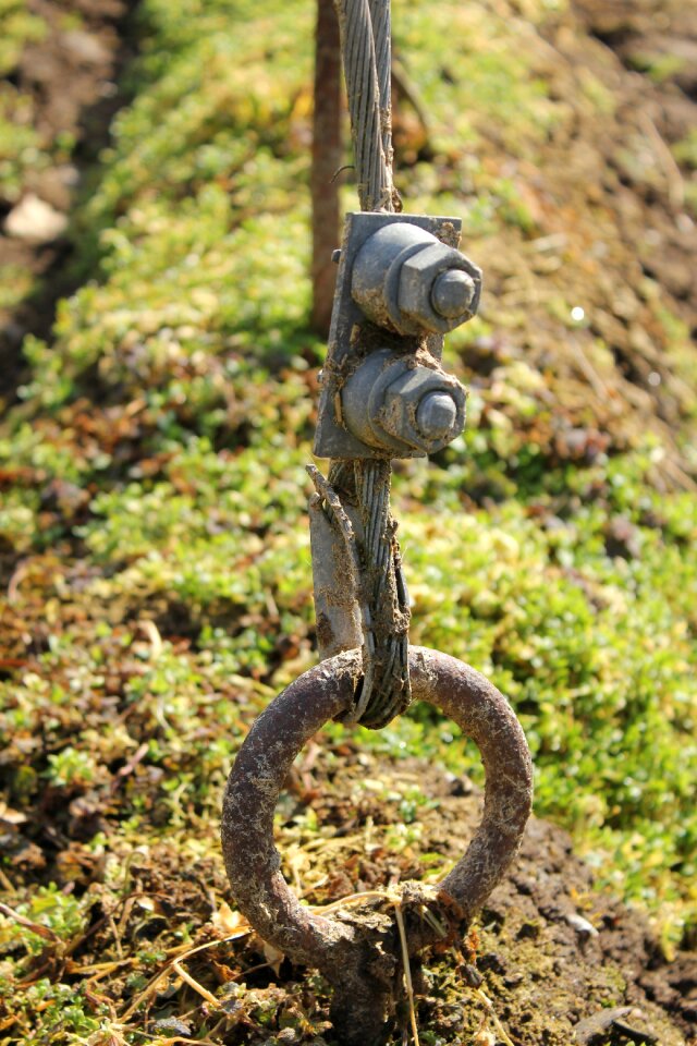 Anchor field eyelet