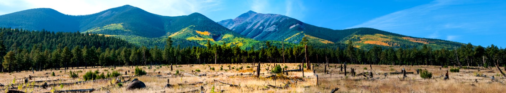 Around the Peaks Loop: FR 418