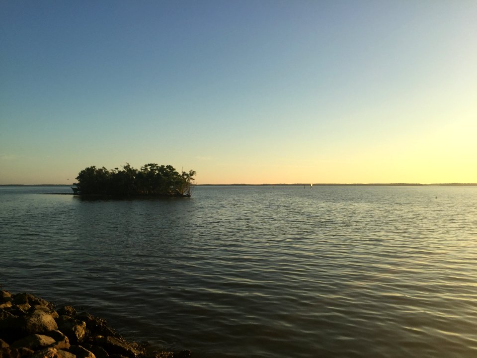 Gulf Coast Sunrise