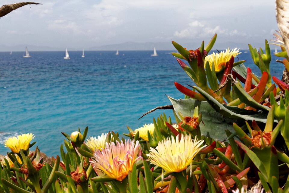Water boat sailing boat