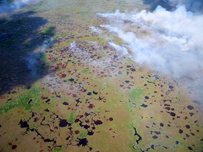 Coastal Prairie Burn47