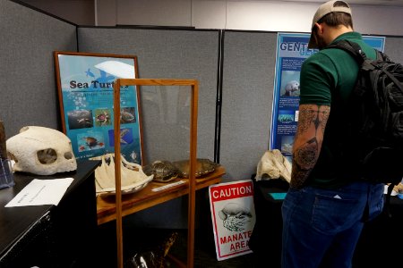 Visitor looking at Exhibits at Gulf Coast