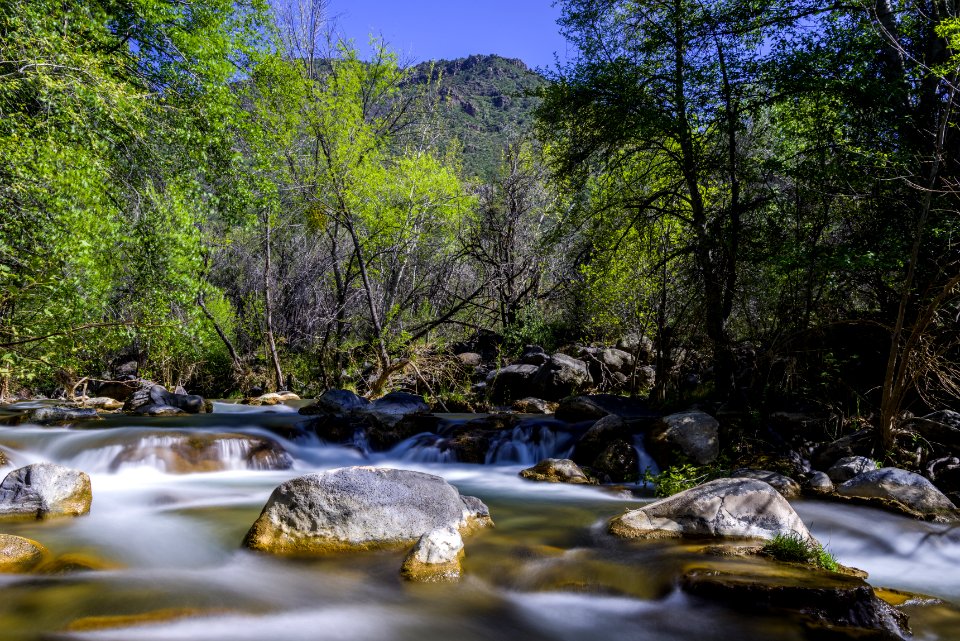 Homestead at Fossil Creek