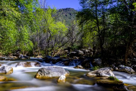 Homestead at Fossil Creek
