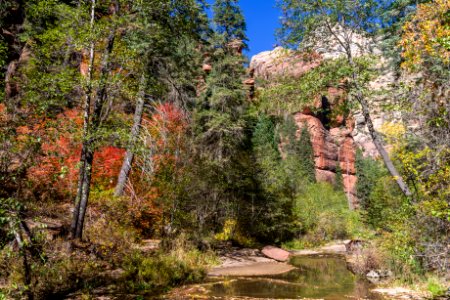 West Fork (October 24, 2017)