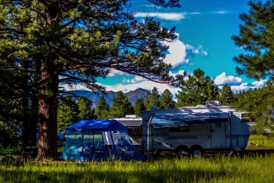 Canyon Vista Campground