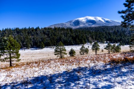 Winter 2016: San Francisco Peaks photo