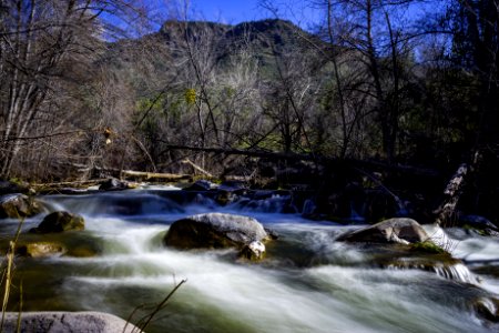 Homestead at Fossil Creek
