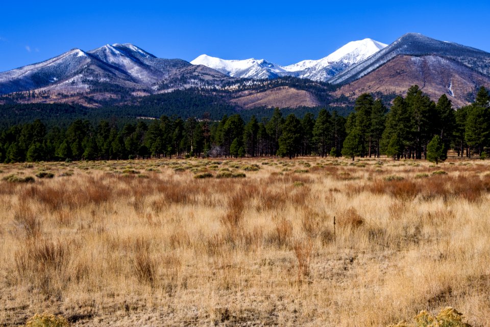 Winter 2016: San Francisco Peaks