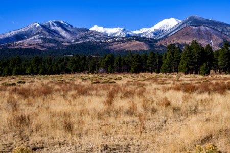 Winter 2016: San Francisco Peaks photo