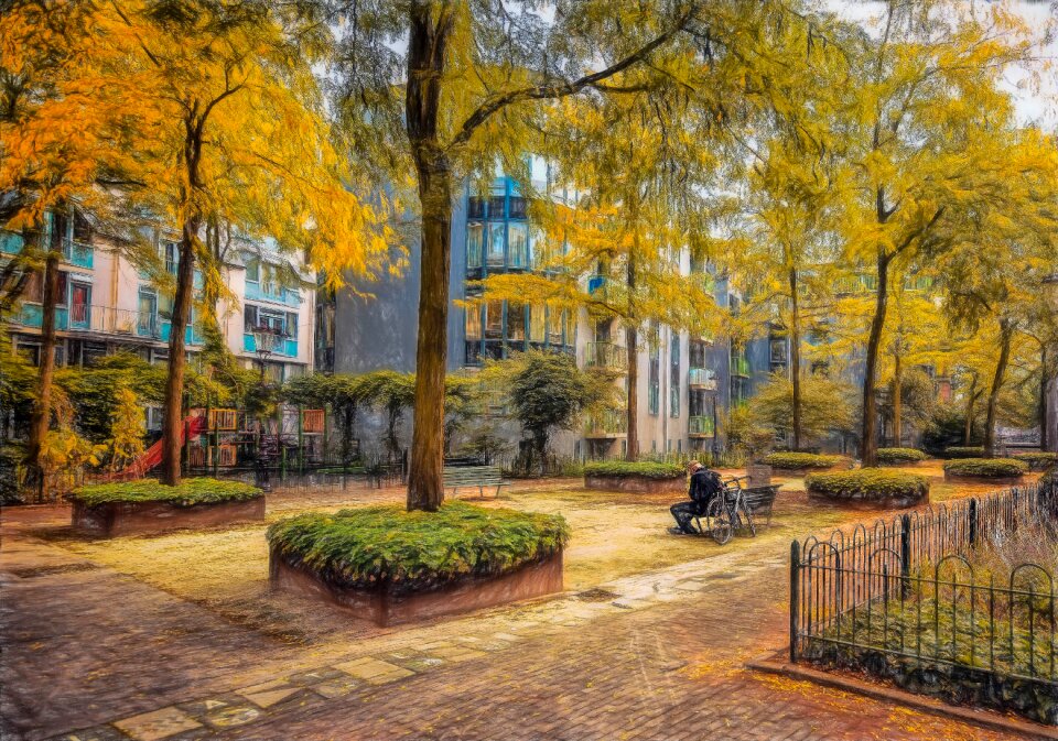 Tranquil painting holland