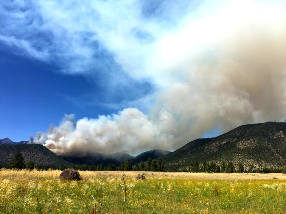 Museum Fire (July 2019)