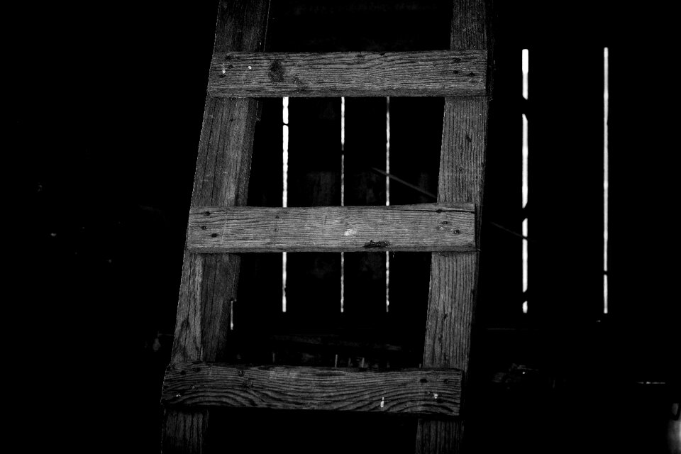 Wood rise old black and white recording