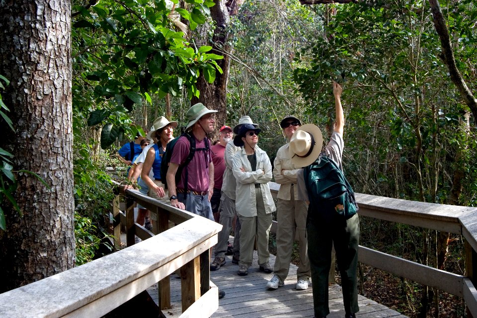 Ranger Guided Walks, NPSPhoto, Rodney Cammauf