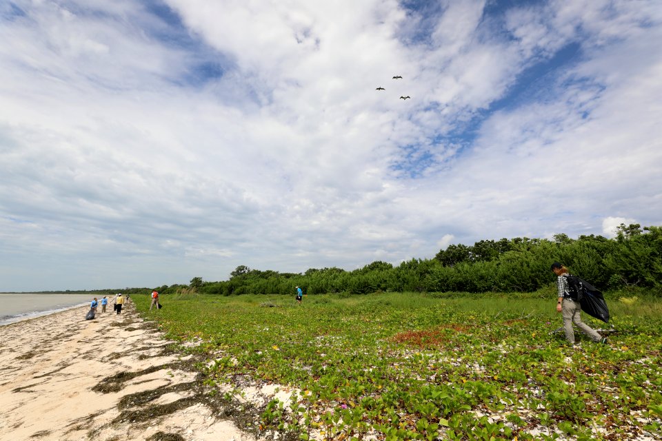 NPSPhoto M.Collier 2019 CS BeachClean EastCape (16)