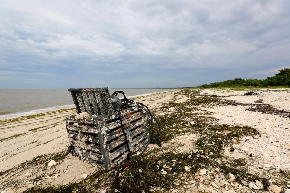 NPSPhoto M.Collier 2019 CS BeachClean crabTrap (2)