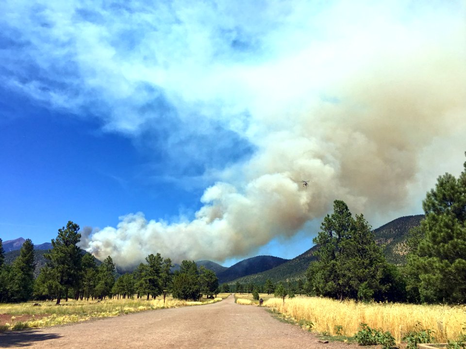 Museum Fire (July 2019)