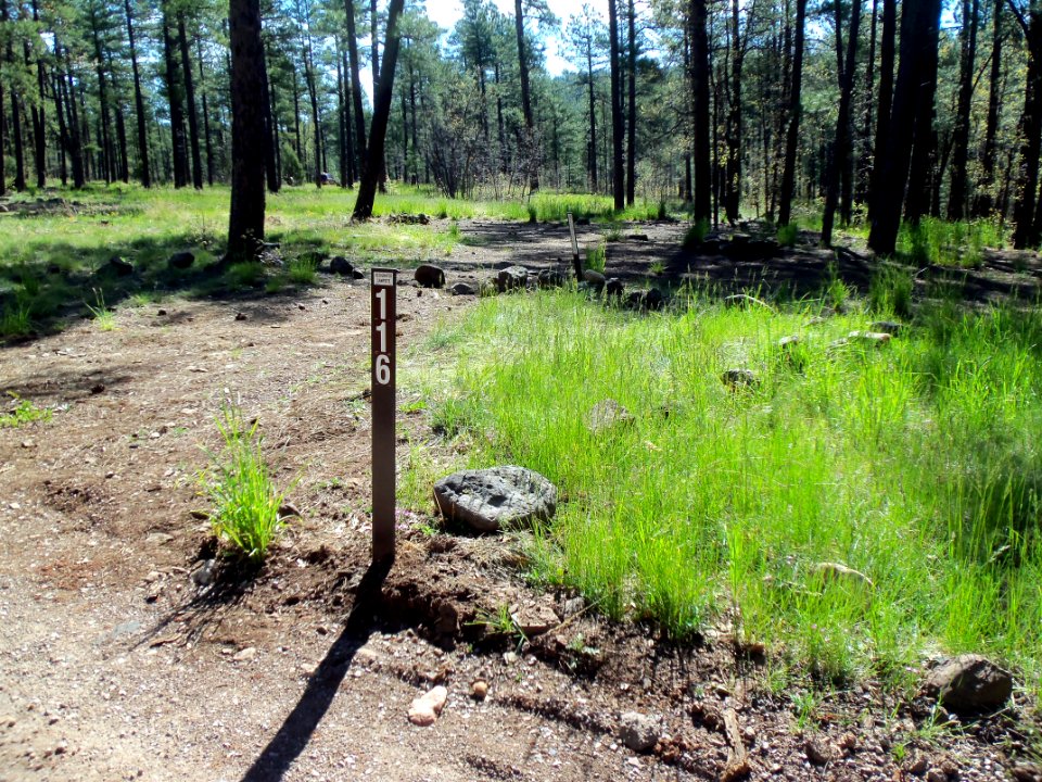 Pumphouse Wash (FR 237) Camping Loop 1