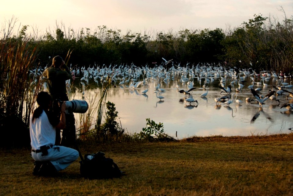 Birding- Mrazek Pond, NPSPhoto,