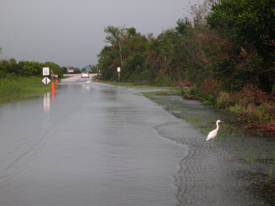 Hurricane Katrina & Wilma 2005 (9), NPSPhoto