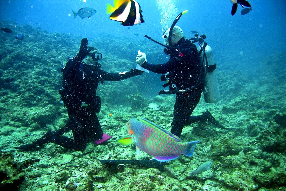 Underwater sea ocean
