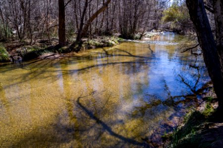 Purple Mountain at Fossil Creek photo