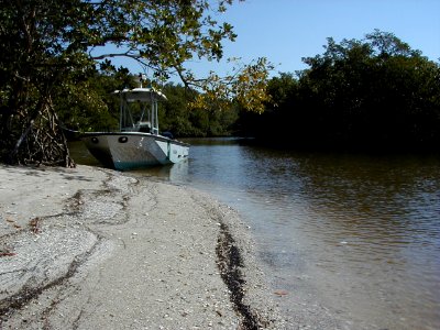Graveyard Creek, NPSPhoto