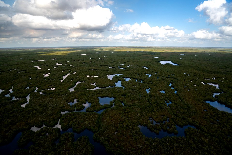 Everglades Wilderness