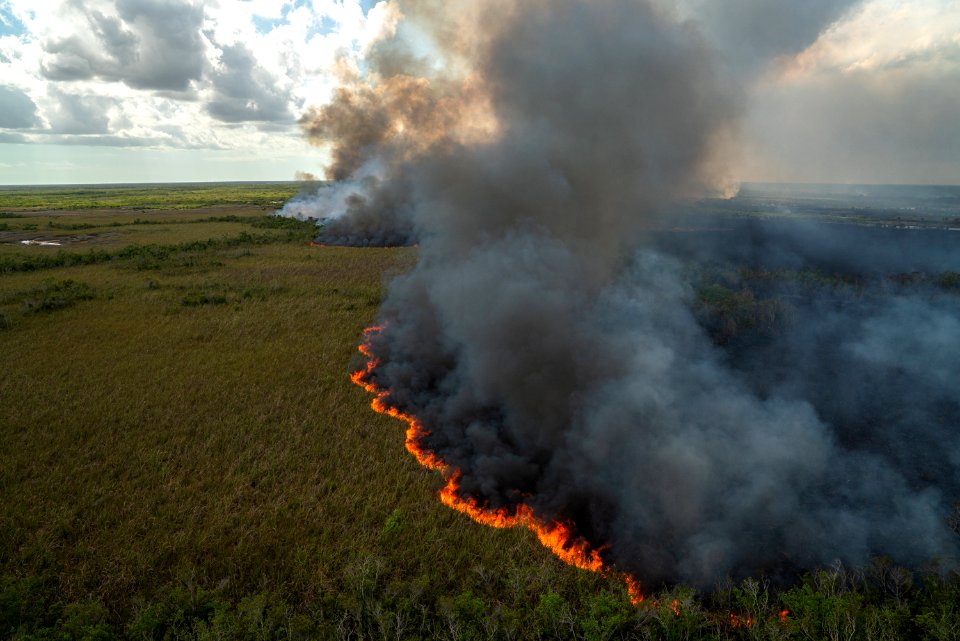 Fire in Everglades National Park