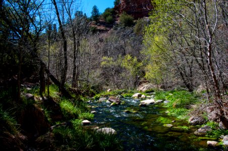 Fossil Springs