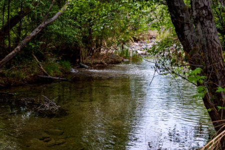 Purple Mountain on Fossil Creek