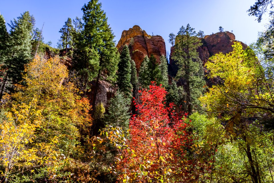 West Fork (October 24, 2017)