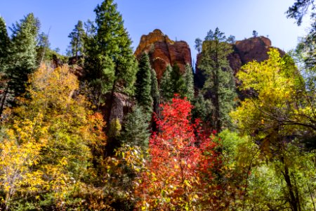 West Fork (October 24, 2017)