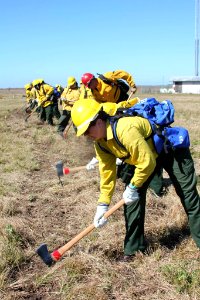Wildland Fire Training