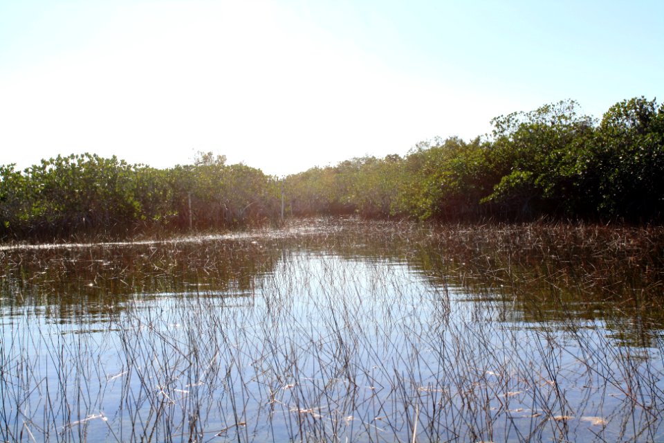 9 mile pond