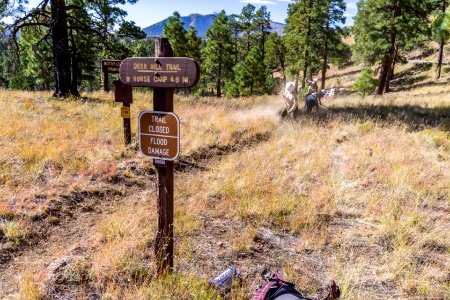Deer Hill Trail: National Public Lands Day 2017