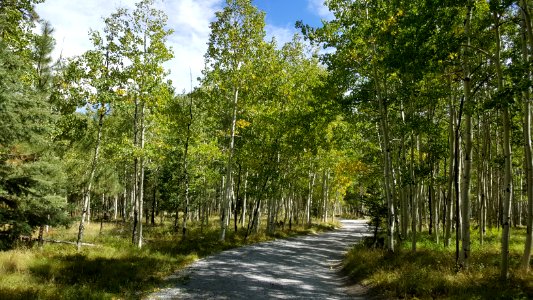 Lockett Meadow Campground: September 19, 2017