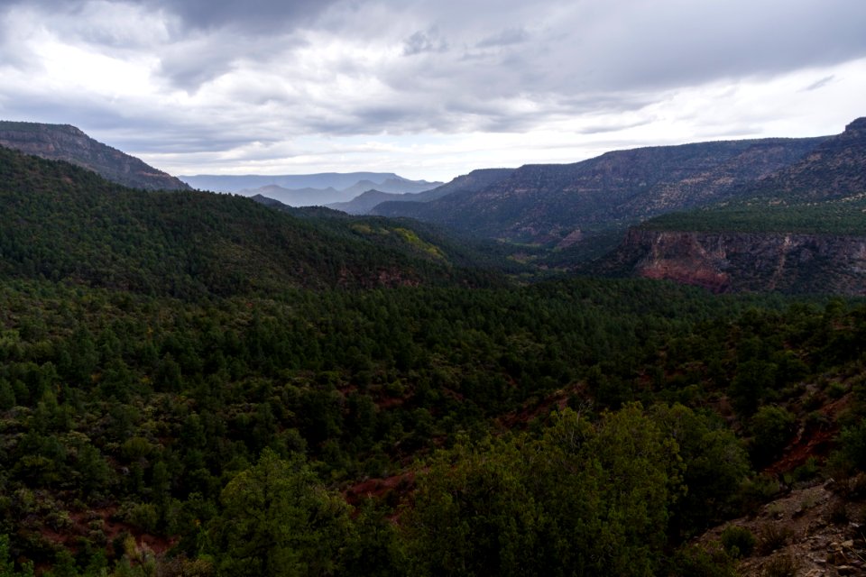Fossil Springs Trail No. 18