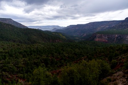 Fossil Springs Trail No. 18