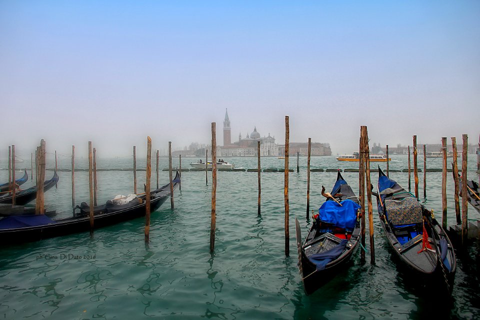venezia  le sue  gondole